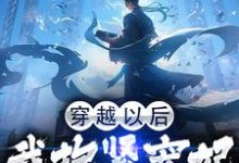 《穿越以后，我抱紧宠妃姐姐的大腿》小说大结局免费试读 季今宵小说-贝壳文学