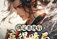 绑定系统后，赢得赌局就能变强小说完结版章节免费阅读-贝壳文学