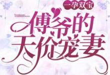 乔卿卿傅司霆小说叫什么(一孕双宝:傅爷的天价宠妻免费阅读)-贝壳文学
