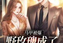马甲被爆,野玫瑰成了大佬掌中娇小说无弹窗阅读的网站推荐-贝壳文学