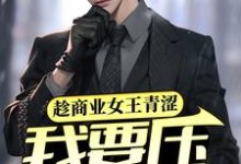 陈墨小说在线章节免费阅读（趁商业女王青涩，我要压她一筹！无弹窗无删减）-贝壳文学