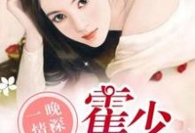 主人公叫林之夏霍亦琛的小说一晚情深，霍少溺宠娇妻在线阅读章节-贝壳文学