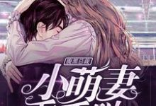 腹黑总裁：小萌妻，乖乖哒小说，腹黑总裁：小萌妻，乖乖哒在线阅读-贝壳文学