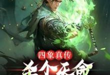 完结版《四象真传,杀个天命不是简简单单》章节目录在线阅读-贝壳文学