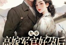 求九零高嫁军官好孕后，前夫红了眼小说的全文免费阅读链接-贝壳文学