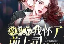 离职后我怀了前上司的孩子小说无弹窗阅读的网站推荐-贝壳文学