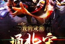 在线寻找我的戒指通北宋小说的无删减版本-贝壳文学