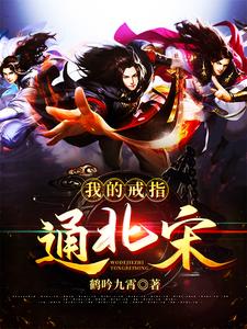 在线寻找我的戒指通北宋小说的无删减版本