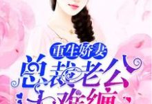 免费看重生娇妻：总裁老公太难缠小说的网站有哪些？-贝壳文学