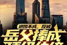 退婚不成，反被岳父捧成顶级纨绔小说有没有完结版在线？-贝壳文学