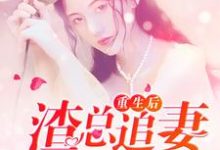 小说《重生后，渣总追妻火葬场》章节免费阅读-贝壳文学