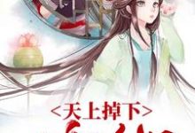 温媛沈文德的小说在哪里看？免费在线阅读天上掉下一个媳妇-贝壳文学
