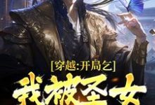穿越：开局乞丐，我被圣女表白了小说有没有完结版在线？-贝壳文学
