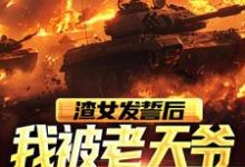 主人公叫苏晨的小说渣女发誓后，我被老天爷误伤了在线阅读章节-贝壳文学