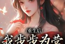免费阅读萧珞沈彧为主角的小说，重生后，我步步为营，揭露宫斗在线看-贝壳文学
