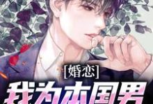 主人公叫苏白的小说哪里免费看-贝壳文学