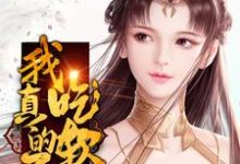 韩枫姜玖小说叫什么(我真的不想吃软饭免费阅读)-贝壳文学