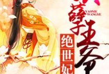 灵念夕渊子阙小说在线章节免费阅读（妖孽王爷绝世妃无弹窗无删减）-贝壳文学