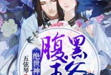 主角小说绝世神医:腹黑王爷别缠我免费阅读-贝壳文学