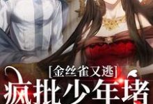 主角叫沈清沅祝怀砚的小说在哪阅读-贝壳文学