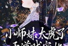 男女主人公叫天宁的小说免费资源-贝壳文学