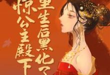 惊!公主殿下重生后黑化了小说有没有完结版在线?-贝壳文学