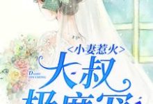 小妻惹火：大叔极度宠最新章节，小妻惹火：大叔极度宠免费阅读-贝壳文学