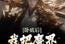 主角叫沈逸尘的小说在哪阅读-贝壳文学