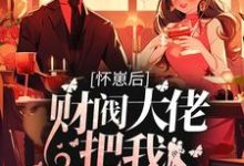 完结版《怀崽后,财阀大佬把我娶回家》章节目录在线阅读-贝壳文学