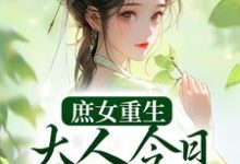 男女主人公叫夏桉盛枷的小说免费资源-贝壳文学