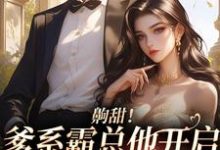 齁甜!爹系霸总他开启追妻火葬场小说全文阅读需要付费吗?寻找免费资源-贝壳文学