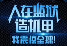 周扬张莉为主角的小说好看吗？免费读人在监狱造机甲，我震惊全球！-贝壳文学
