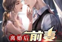 寻找能够免费阅读离婚后,前妻跪求原谅小说的平台-贝壳文学