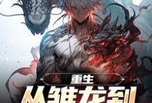 已完结小说《重生:从雏龙到寰宇之王》章节在线阅读-贝壳文学