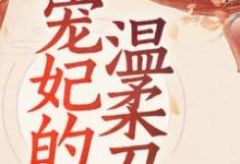 寻找宠妃的温柔刀小说的最新更新章节-贝壳文学