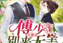 季南歌傅沉渊江泽安的故事在哪本书里?免费阅读傅少,别来无恙-贝壳文学
