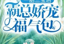 一胎三宝后，霸总娇宠福气包这本小说怎么样？免费在线阅读试试-贝壳文学
