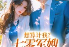 李翠花沈靖萧的故事在哪本书里？免费阅读想算计我？七零军嫂搬空你全家-贝壳文学