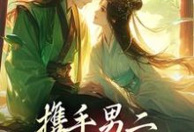 携手男二，我们驰骋官场免费阅读，携手男二，我们驰骋官场章节目录-贝壳文学