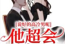 说好的高冷男呢?他超会撩好吗小说,说好的高冷男呢?他超会撩好吗在线阅读-贝壳文学