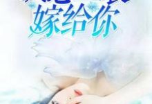 苏言陆凌琛陈萱萱为主角的小说我想盛装嫁给你在线阅读-贝壳文学