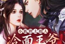 小狐狸太撩人，冷面王爷笑着宠青鸢祁司晏小说大结局免费试读-贝壳文学