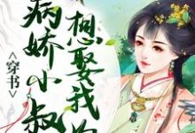 穿书:病娇小叔子想娶我为妻小说最新更新在哪里?免费在线看-贝壳文学