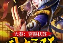 大秦：穿越扶苏，国士无双小说无弹窗阅读的网站推荐-贝壳文学