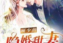小说顾少的隐婚甜妻章节免费阅读-贝壳文学