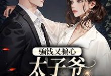 骗钱又骗心，太子爷追妻路漫漫小说完结版章节免费阅读-贝壳文学