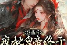 登基后，疯批皇帝终于娶到白月光小说的最新章节在哪里更新？免费追踪阅读-贝壳文学