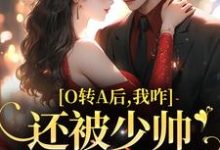 池影霍时晏小说O转A后，我咋还被少帅强取豪夺了章节免费阅读-贝壳文学
