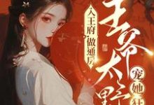 入王府，做通房，王爷太野宠她狂小说完结了吗？在哪里可以免费读到？-贝壳文学