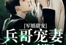 哪里能找到军婚甜宠：兵哥宠妻无下限小说的全部章节？-贝壳文学